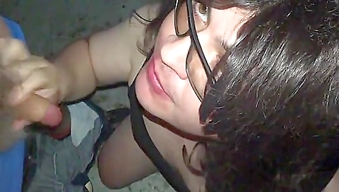 Threesome video with two girls getting their holes stuffed